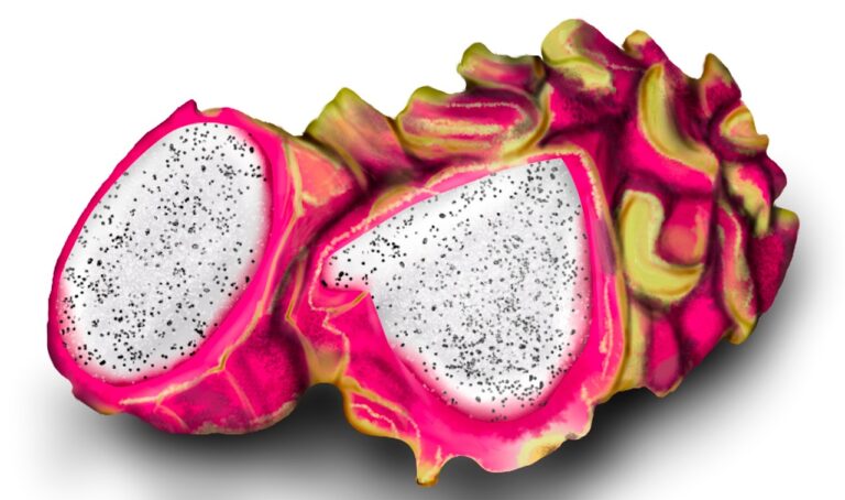 The Role of Nurses in Improving Patient Outcomes